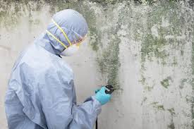 Mold Removal for HVAC Installations in Moorestown Lenola, NJ